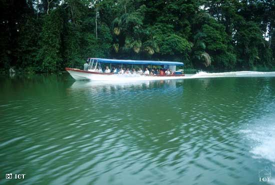Canales de tortuguero